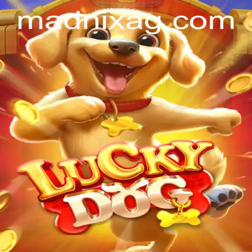 Exploring LuckyDog: A Thrilling Adventure with heroi.bet