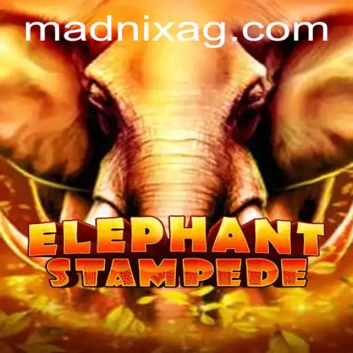 ElephantStampede: A Thrilling Adventure in Modern Gaming