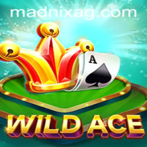 Unleashing the Excitement: A Deep Dive into WildAce - The Ultimate Gaming Experience on heroi.bet